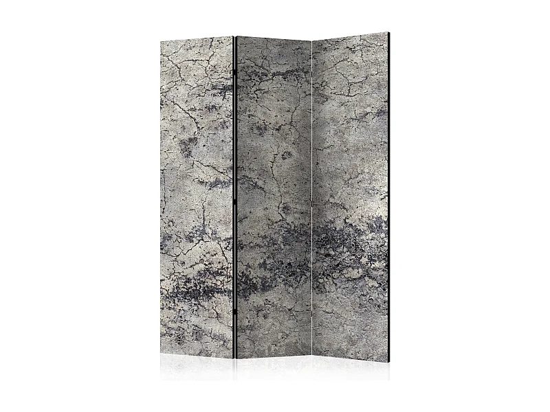Paravento - Grey Lady [Room Dividers] - 135x172