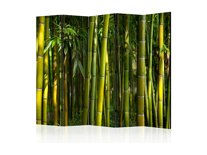 Paravento - Oriental Garden II [Room Dividers] - 225x172