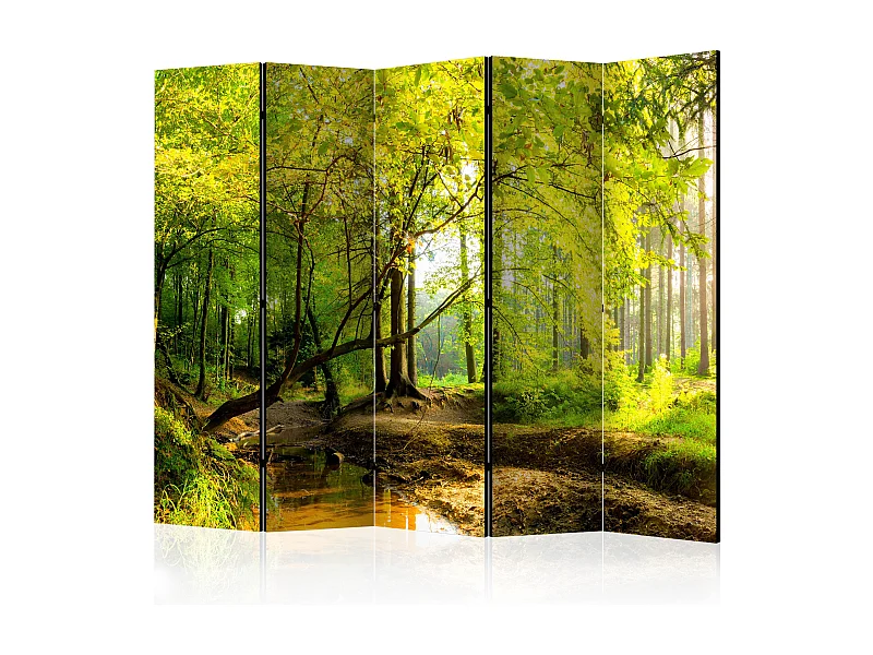 Paravento - Forest Clearing II [Room Dividers] - 225x172