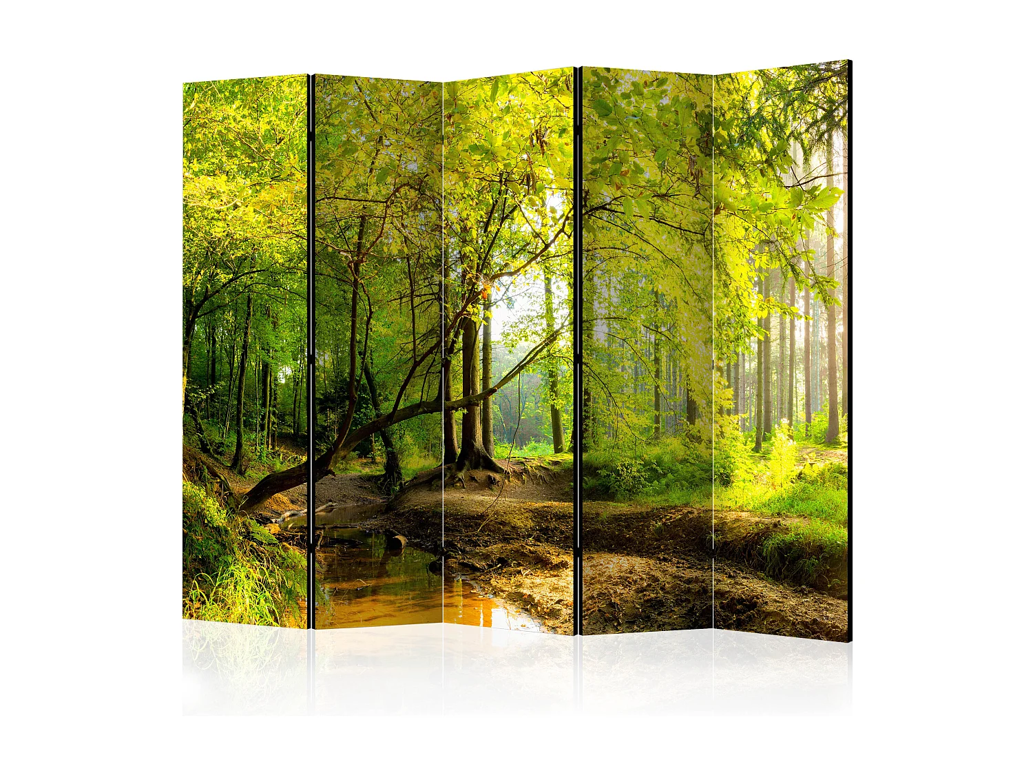 Paravento - Forest Clearing II [Room Dividers] - 225x172
