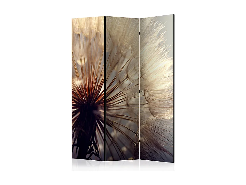 Paravento - Dandelion Kiss [Room Dividers] - 135x172