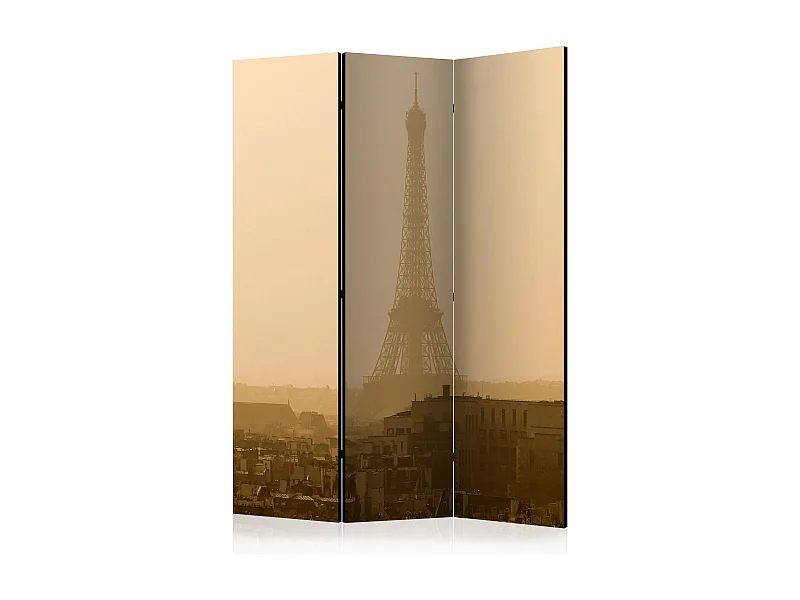 Paravento - Paris at Dawn [Room Dividers] - 135x172