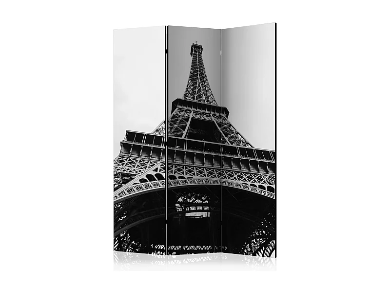 Paravento - Paris Giant [Room Dividers] - 135x172