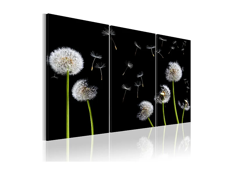 Heard Of The Kometa Effect? Here It Is