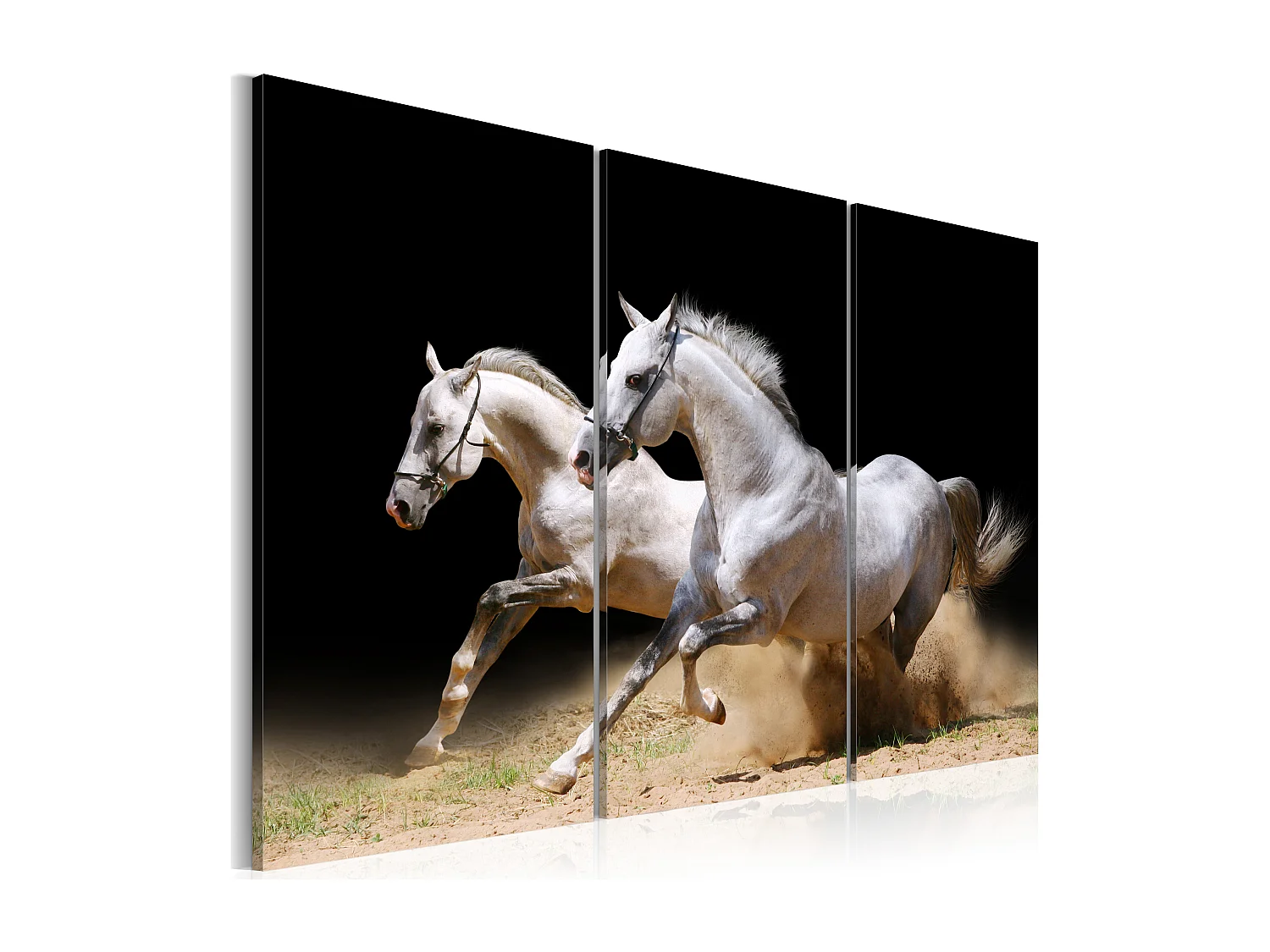 Quadro - Cavalli: potenza e velocita' - 60x40