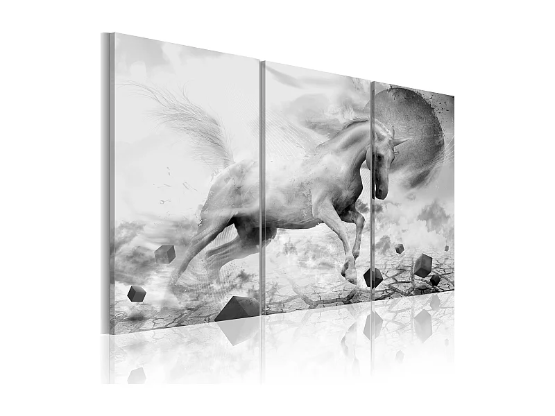 Quadro - Unicorno ai confini del mondo - 120x80
