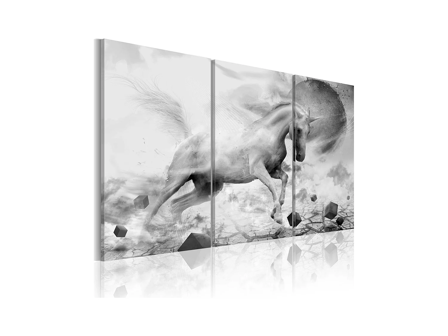 Quadro - Unicorno ai confini del mondo - 120x80