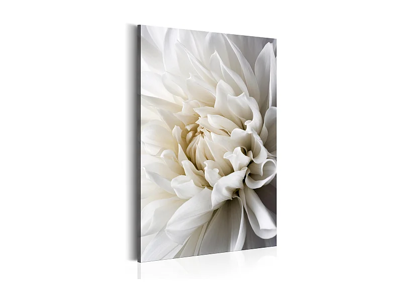 Quadro - White Dahlia - 60x90