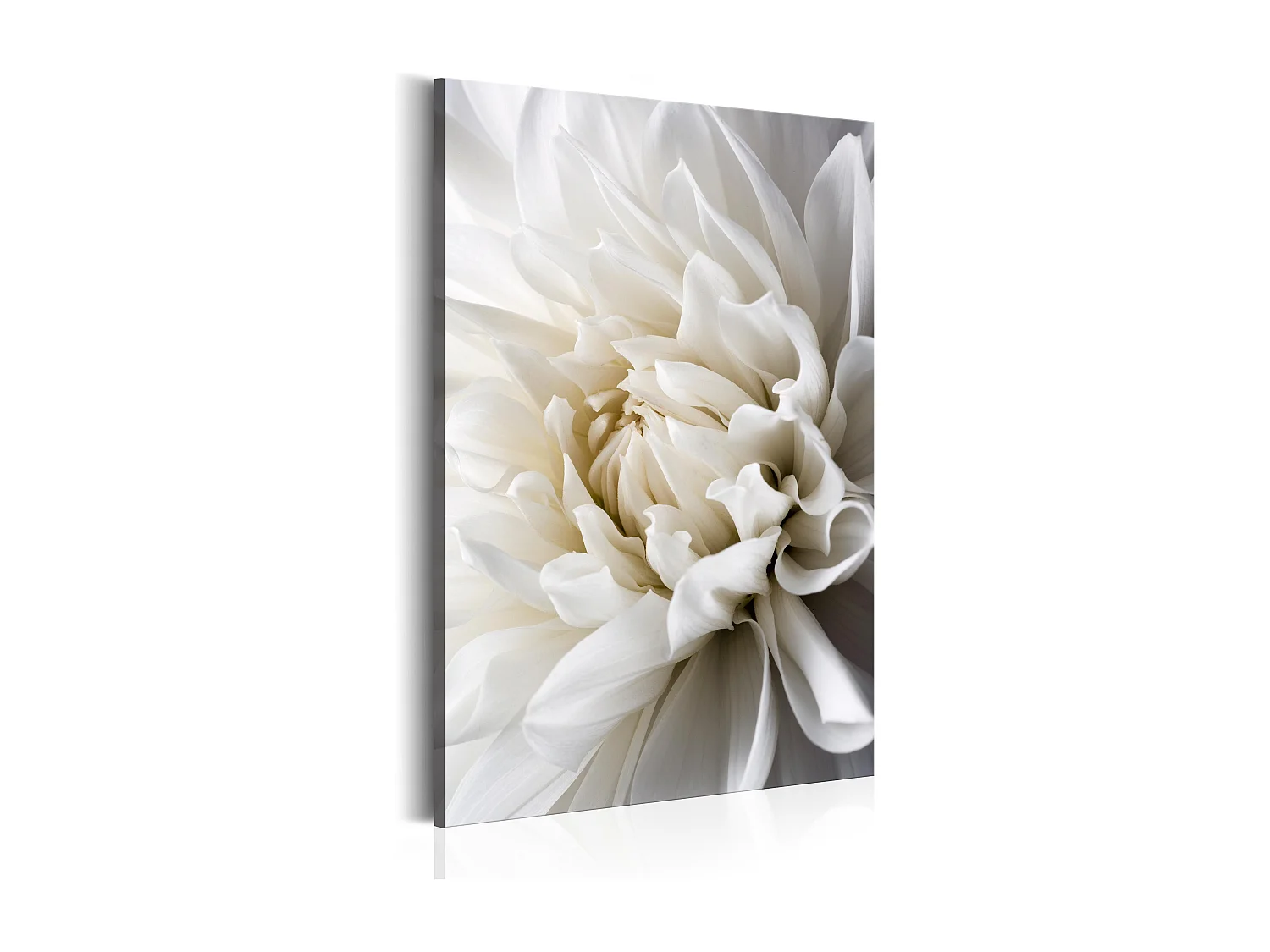 Quadro - White Dahlia - 60x90