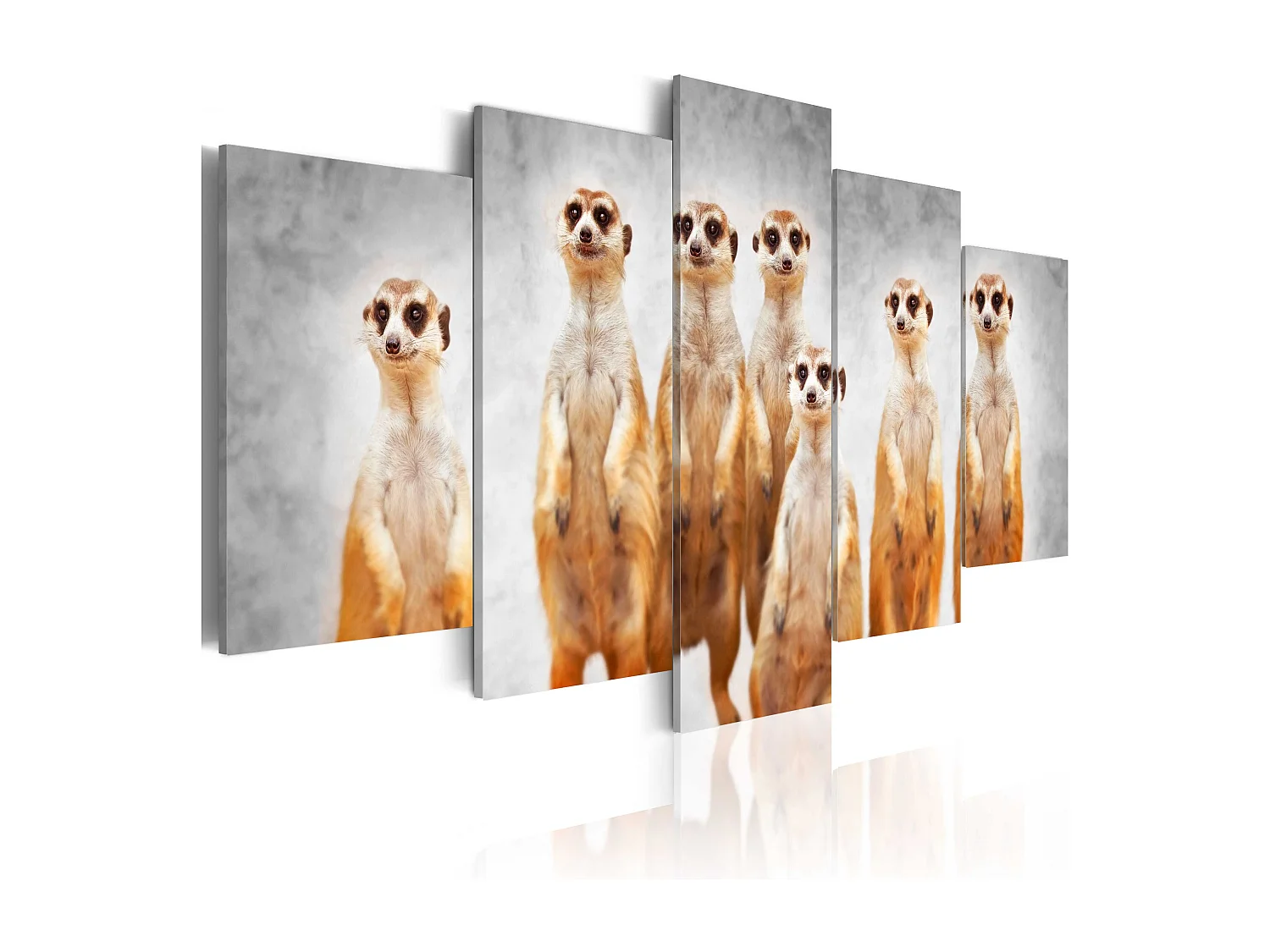 Quadro - Meerkats - 100x50