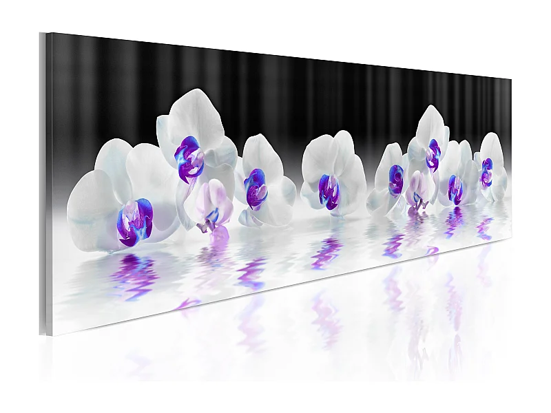 Quadro - Orchidee acquatiche - 135x45