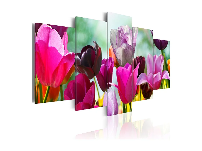 Quadro - Rosa allegro - 100x50