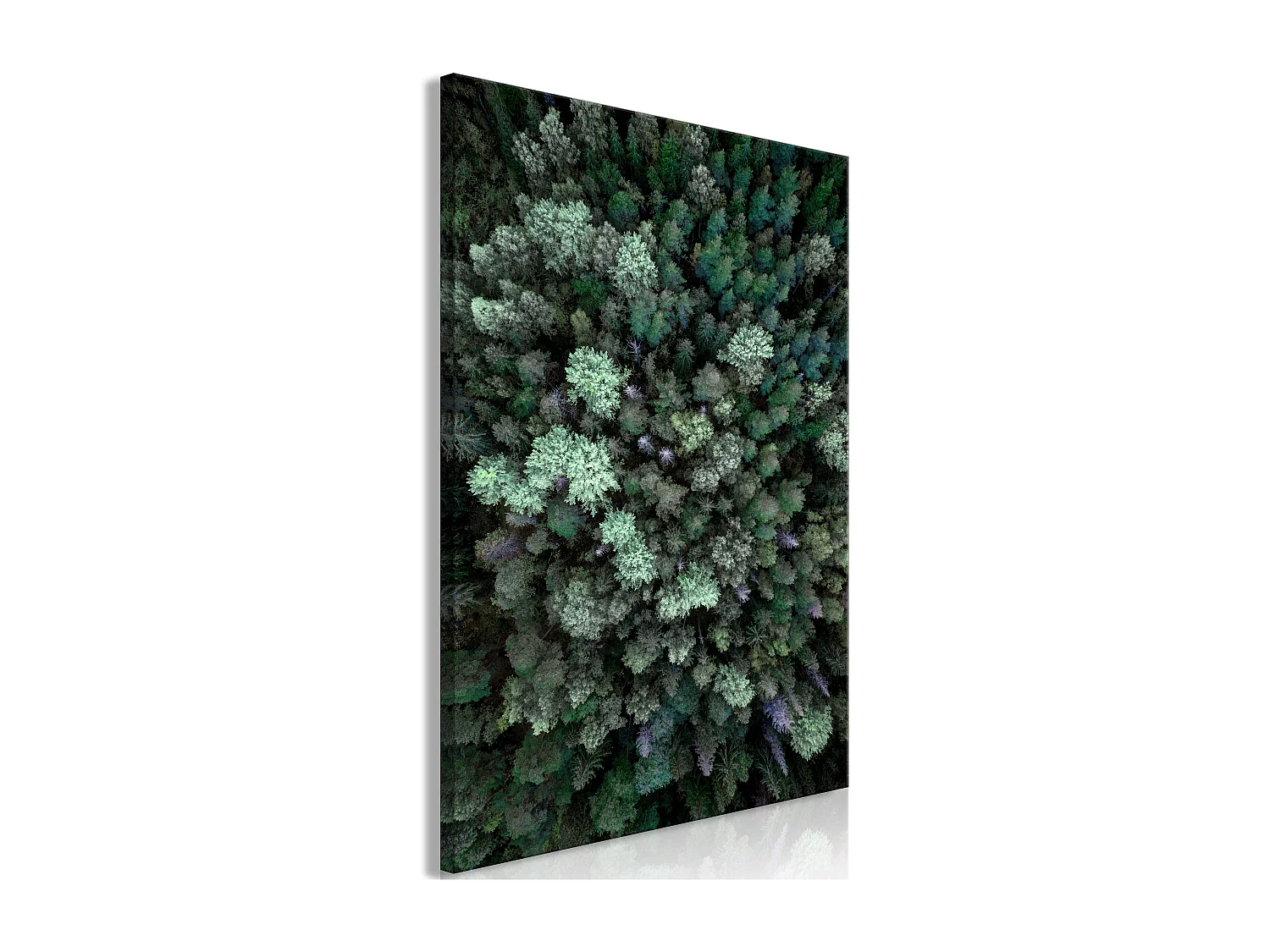 Quadro - Flying Over Forest (1 Part) Vertical - 80x120