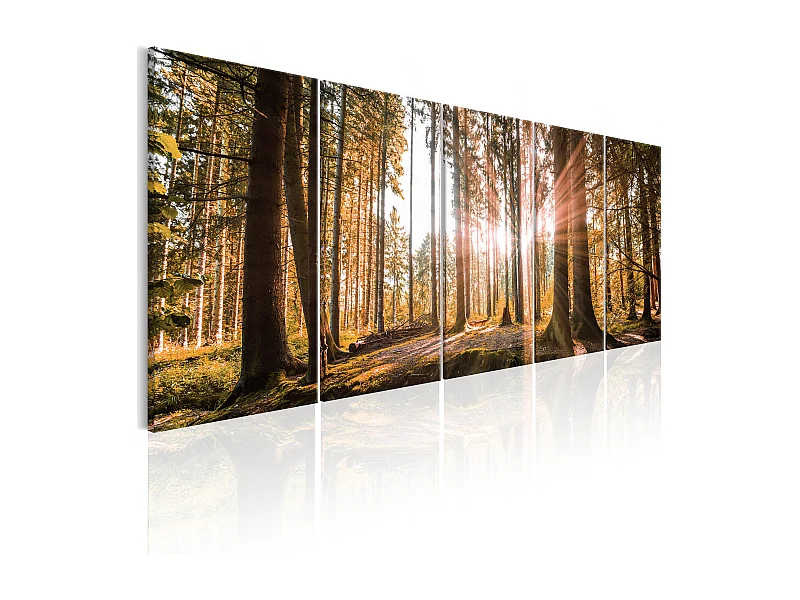 Quadro - Beauty of Nature - 200x80