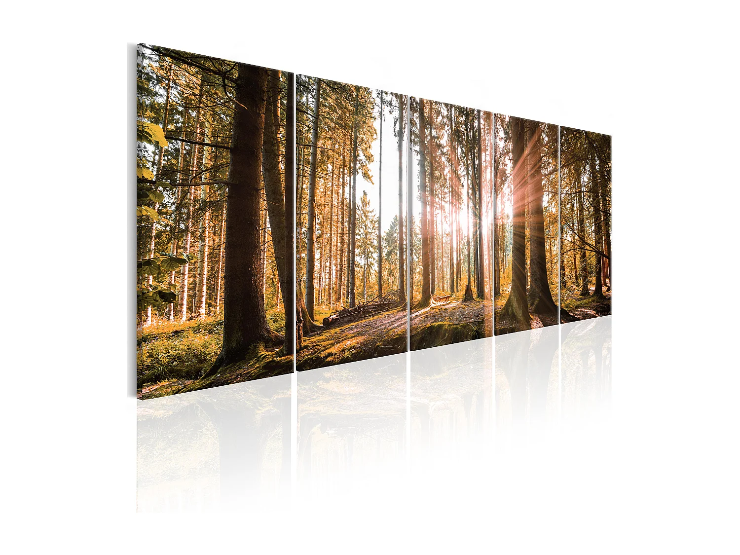 Quadro - Beauty of Nature - 200x80