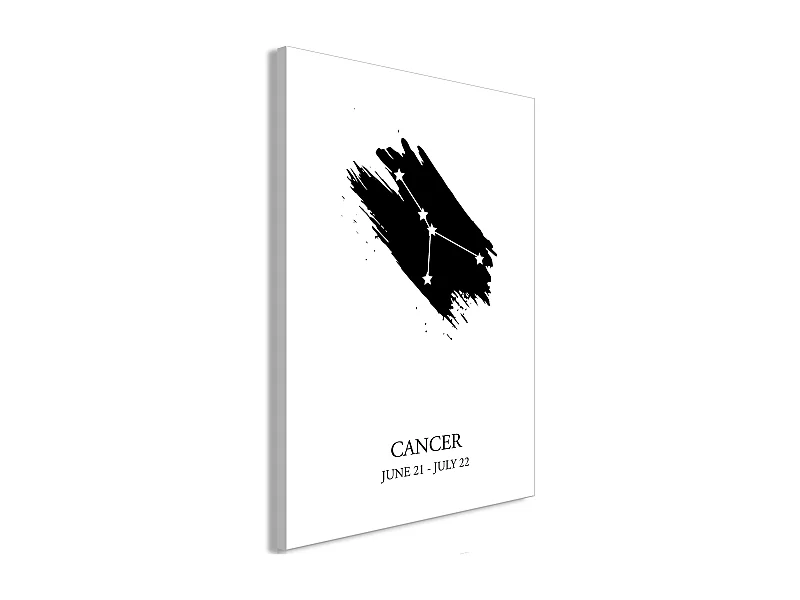 Quadro - Zodiac Signs: Cancer (1 Part) Vertical - 60x90