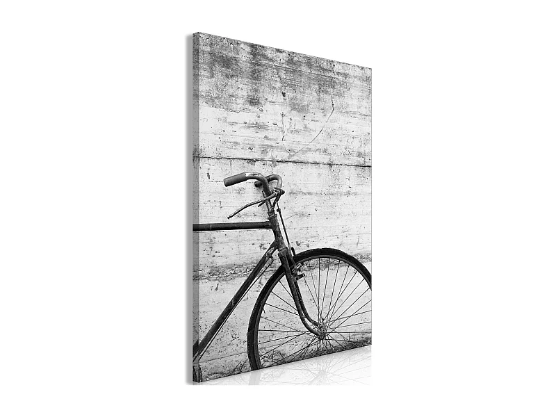 Quadro - Bicycle And Concrete (1 Part) Vertical - 40x60