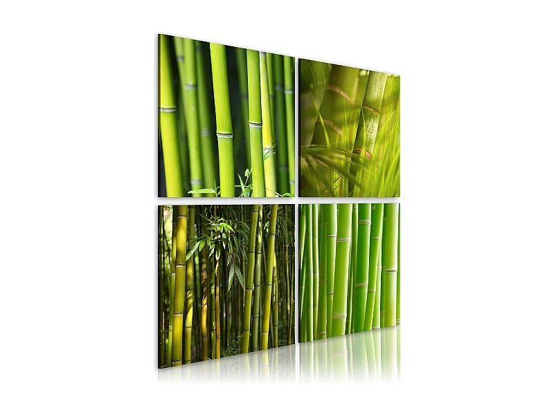 Quadro - Bambù - 40x40