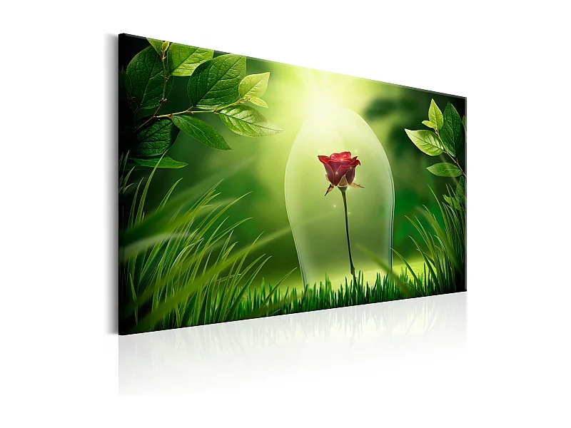Quadro - Magical Rose - 120x80