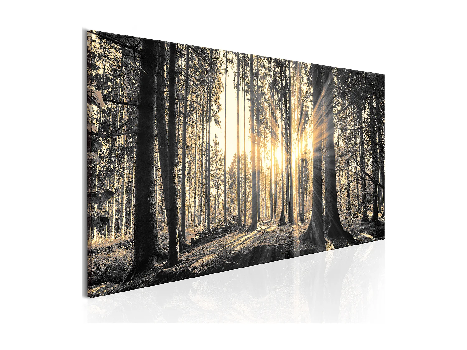 Quadro - Il sole del bosco - 150x50