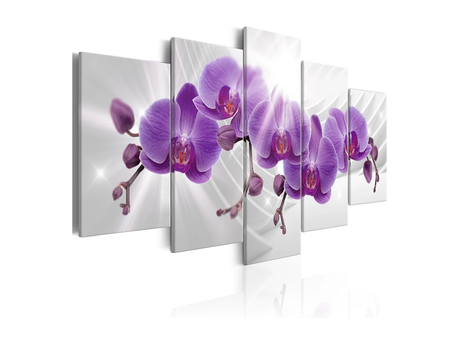 Quadro - Abstract Garden: Purple Orchis - 100x50
