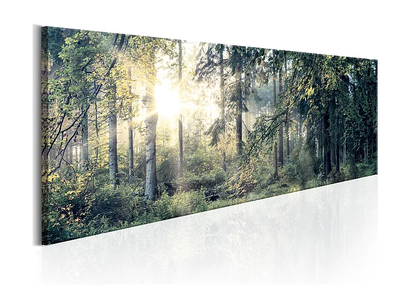 Quadro - Morning Magic - 150x50