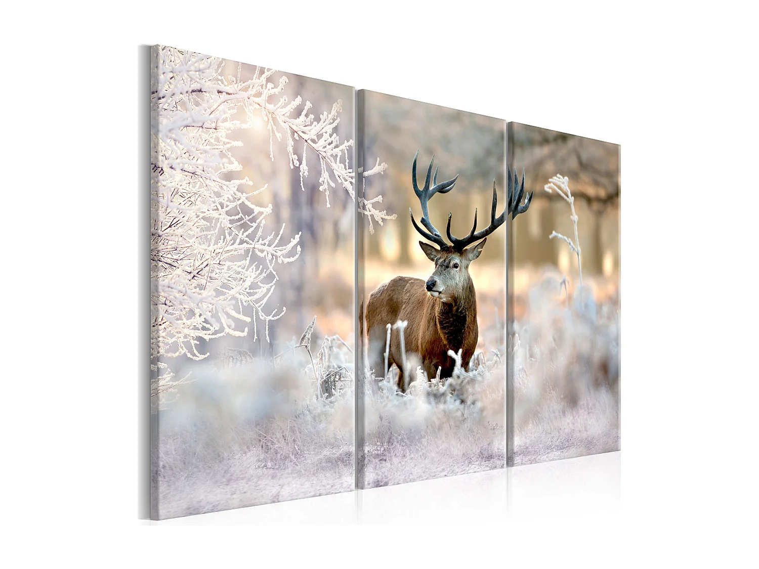 Quadro - Deer in the Cold I - 120x80