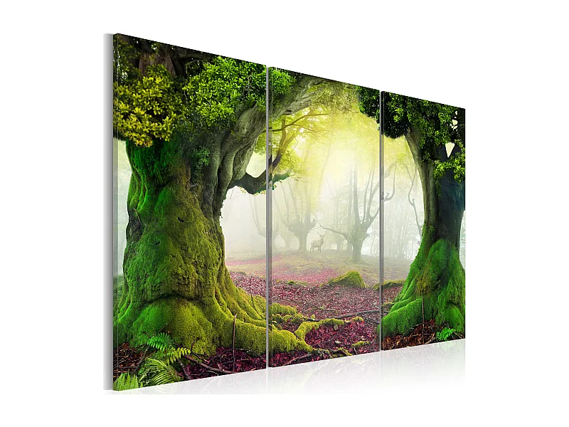 Quadro - Bosco misterioso - trittico - 60x40