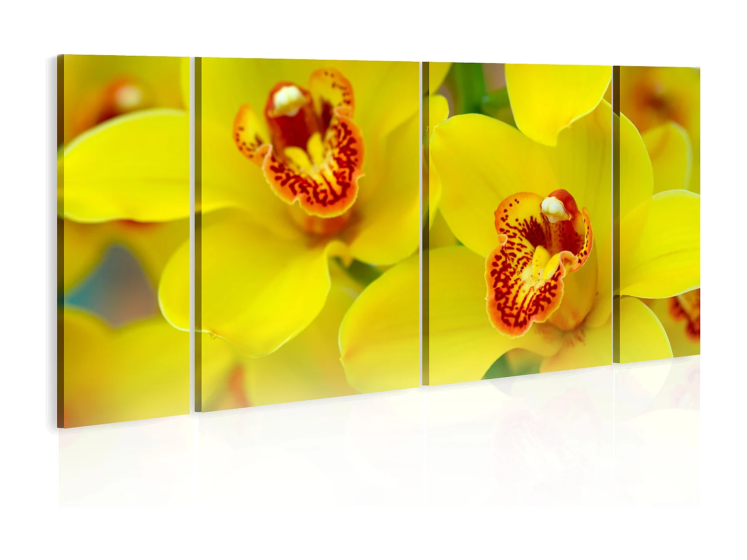 Quadro - Orchids - intensity of yellow color - 120x60