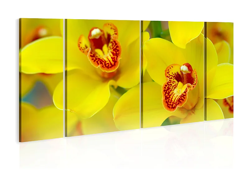 Quadro - Orchids - intensity of yellow color - 120x60