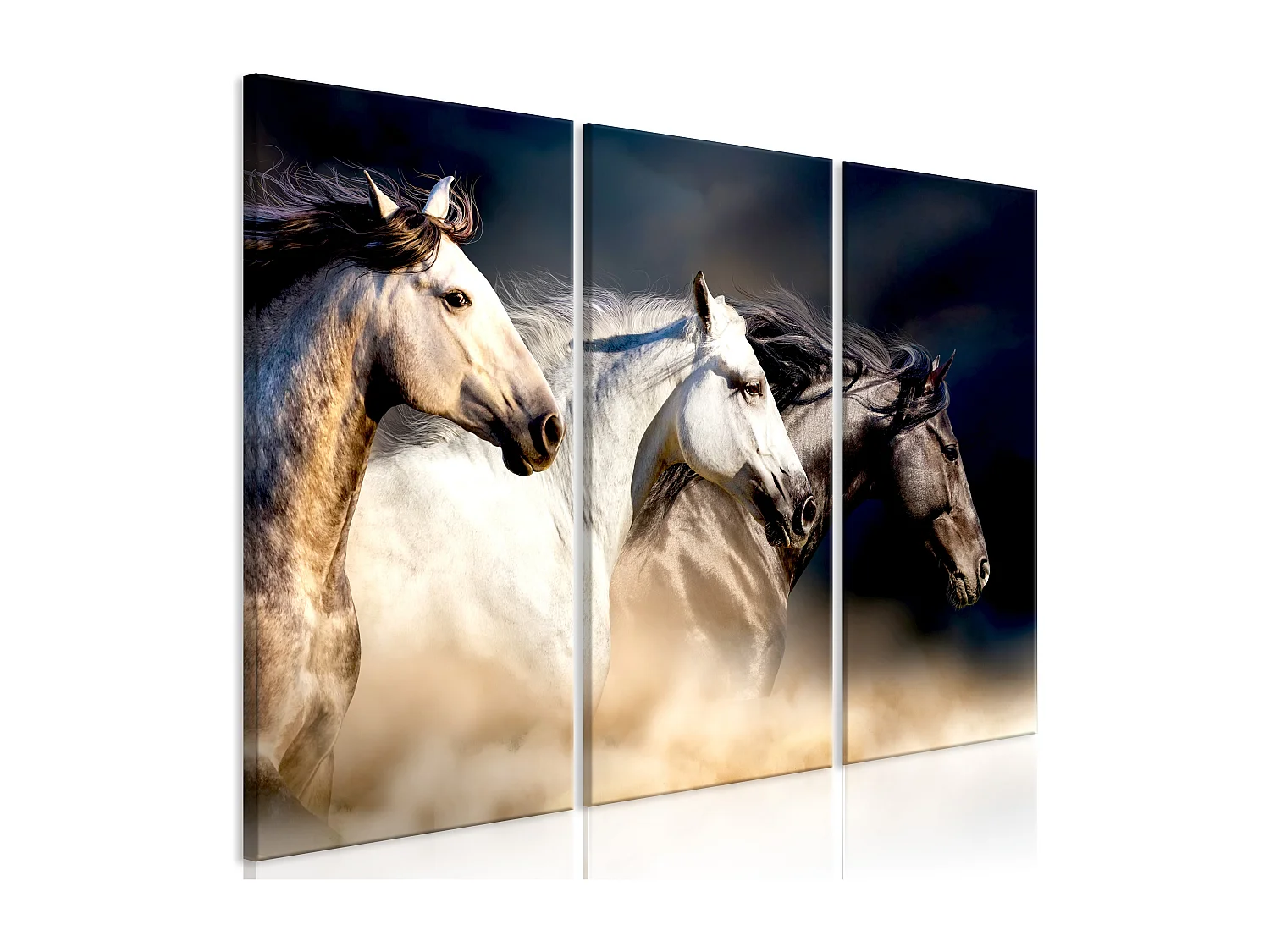 Quadro - Sons of the Wind (3 Parts) - 90x60