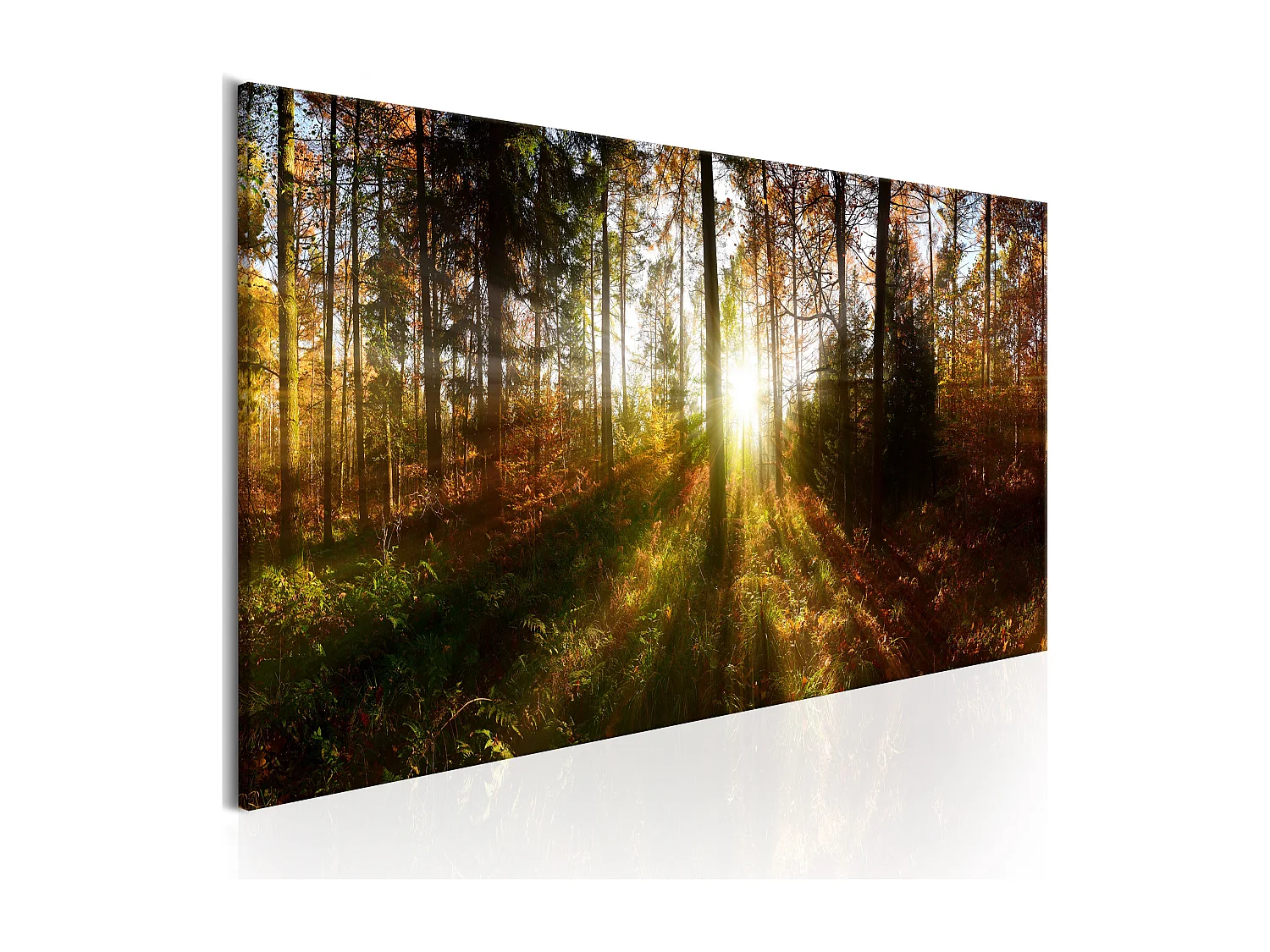 Quadro - Beautiful Forest  - 135x45