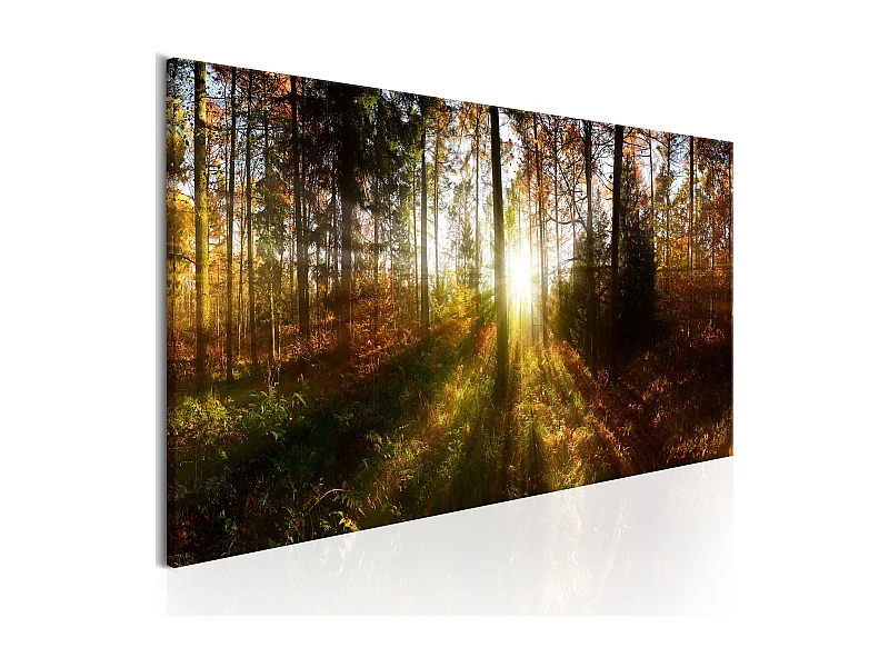 Quadro - Beautiful Forest  - 135x45