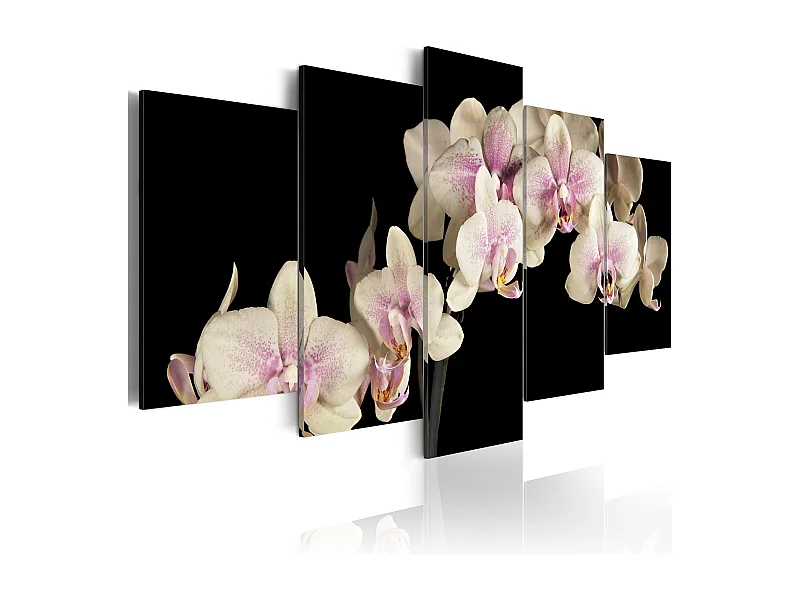 Quadro - Orchidea su sfondo contrastante - 100x50