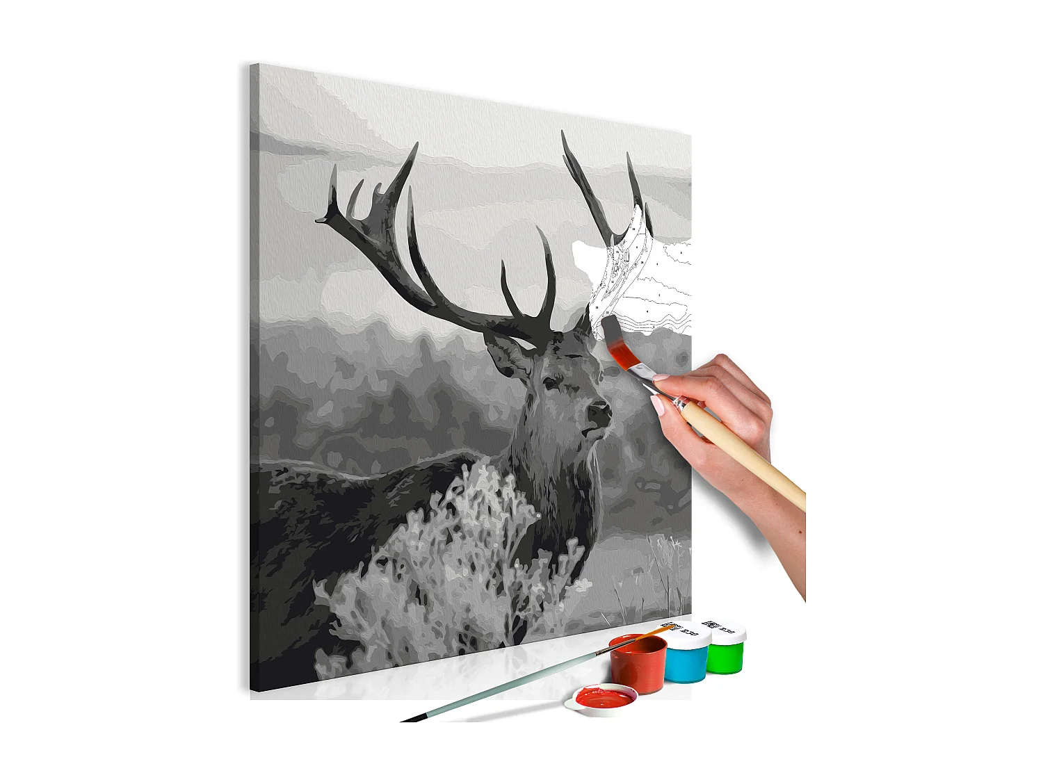 Quadro fai da te - Grey Wildness - 40x40