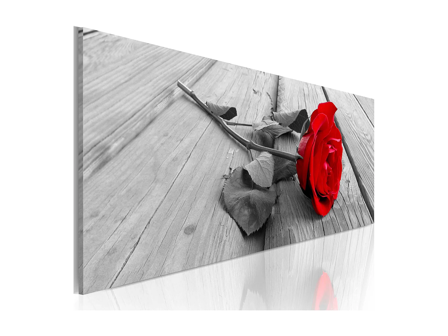 Quadro - Rosa del carmine - 120x40