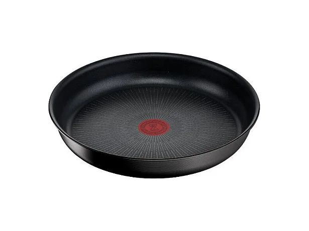 Ingenio Eco Resist Poêle 20 cm TEFAL - L3970202