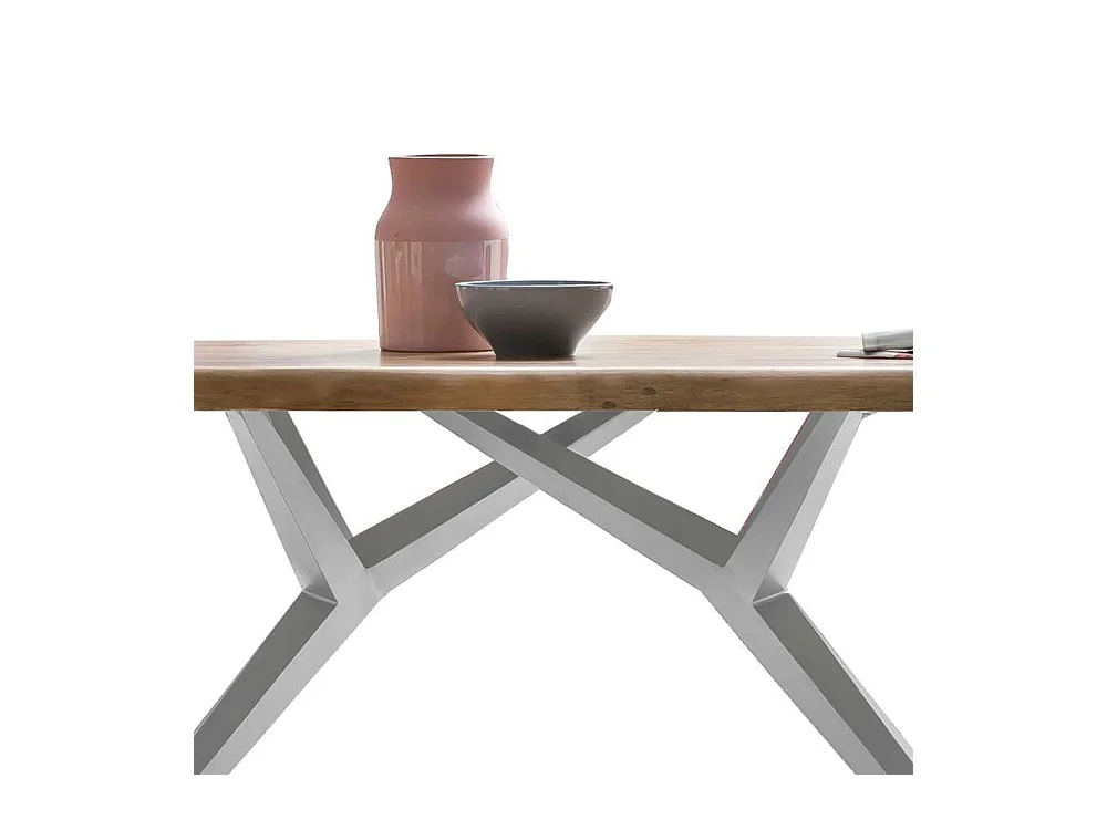 Esszimmer Tisch aus Mangobaum Massivholz und Eisen 4-Fußgestell in Altsilberfarben