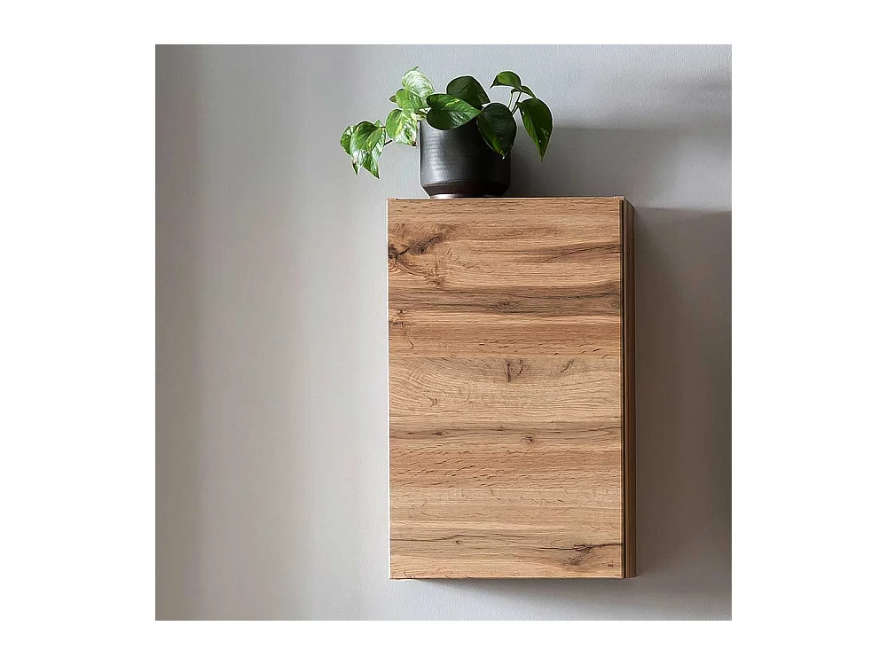 Badezimmer Hängeschrank im Wildeiche Dekor 1 türig