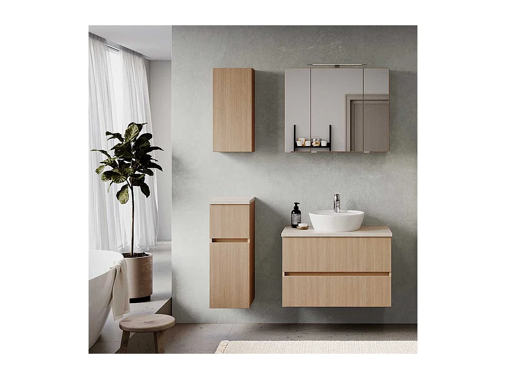 Badezimmerschrank Badschrank mit Metallauszug und Drehtür