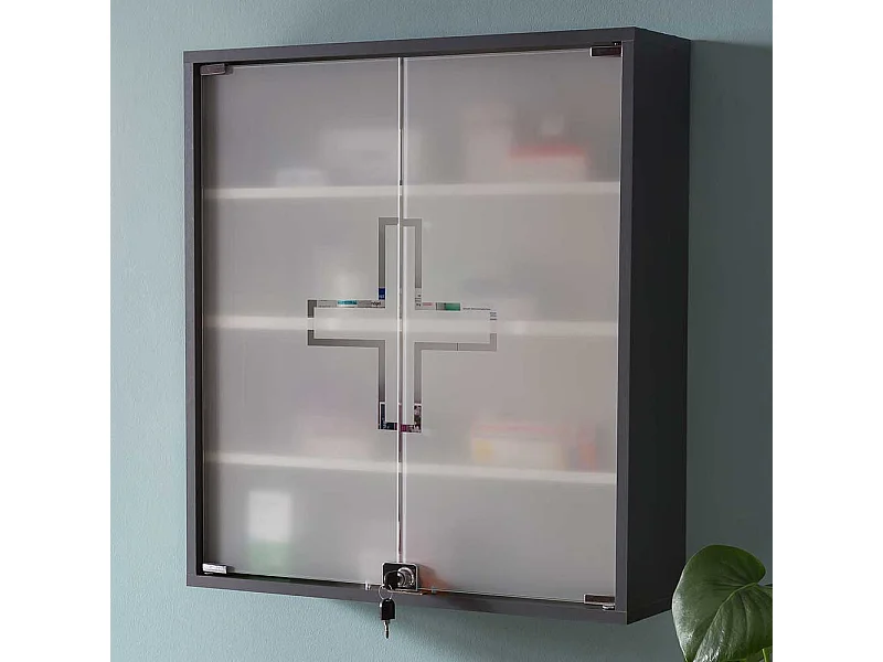 Hängeschrank für Medizin in Anthrazit Glastüren