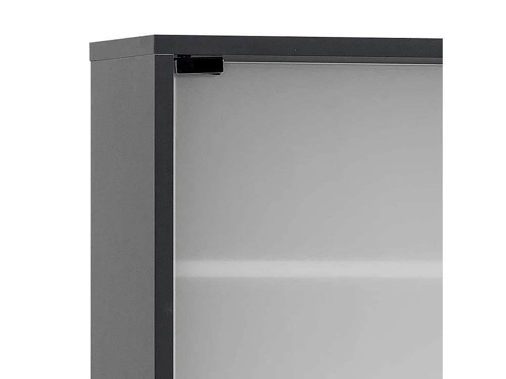 Hängeschrank für Medizin in Anthrazit Glastüren