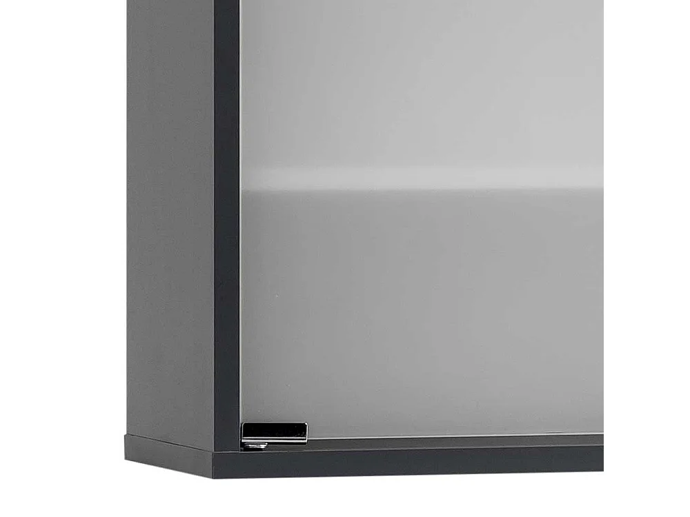 Hängeschrank für Medizin in Anthrazit Glastüren