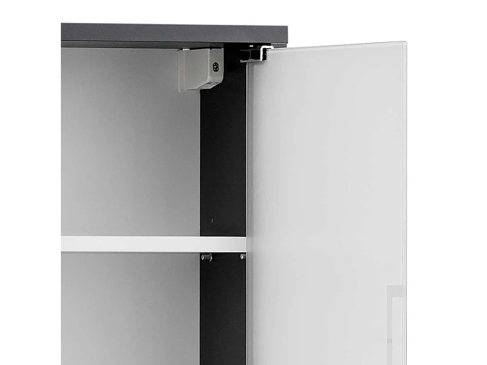 Hängeschrank für Medizin in Anthrazit Glastüren