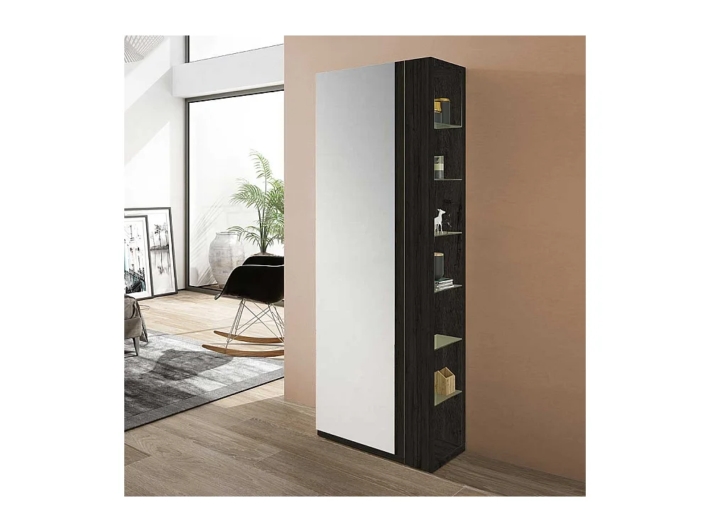 Garderobenschuhschrank in Schwarzgrau Spiegel
