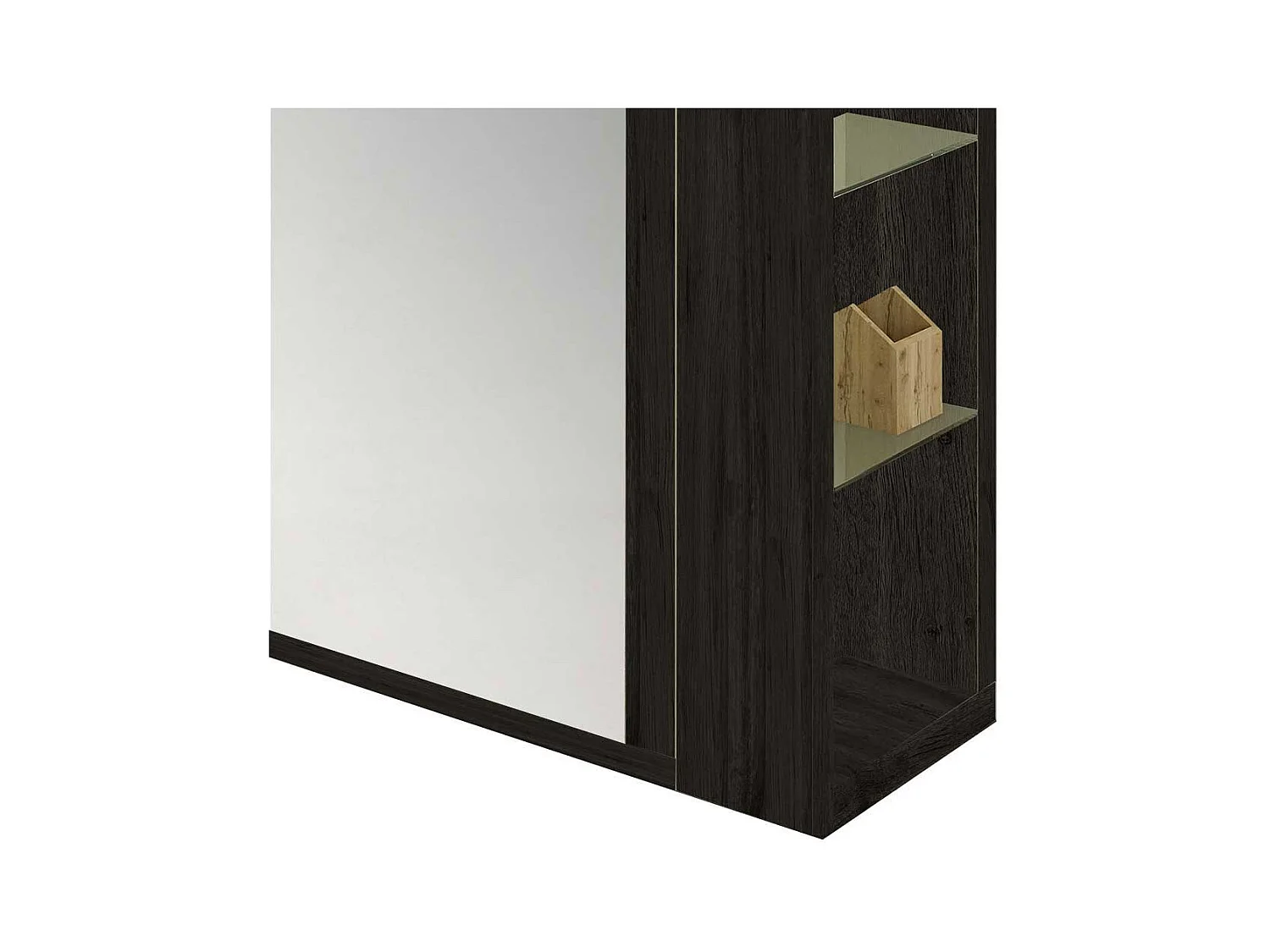 Garderobenschuhschrank in Schwarzgrau Spiegel