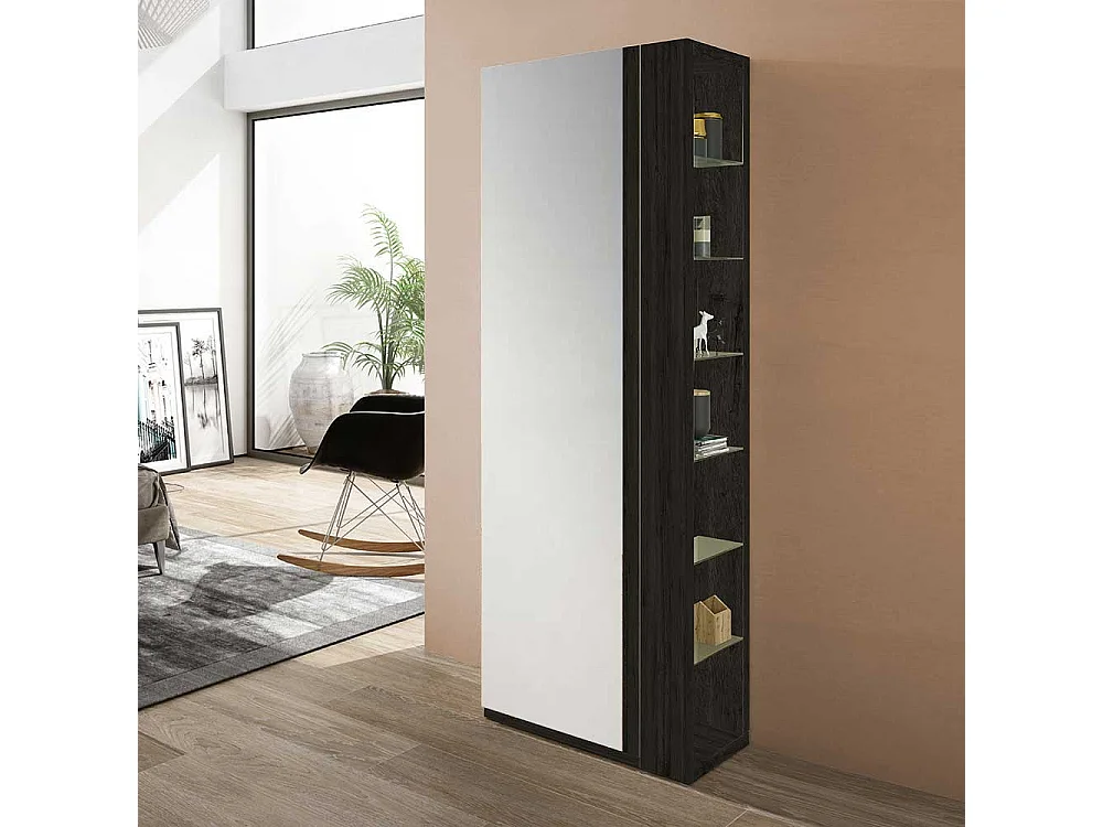 Garderobenschuhschrank in Schwarzgrau Spiegel