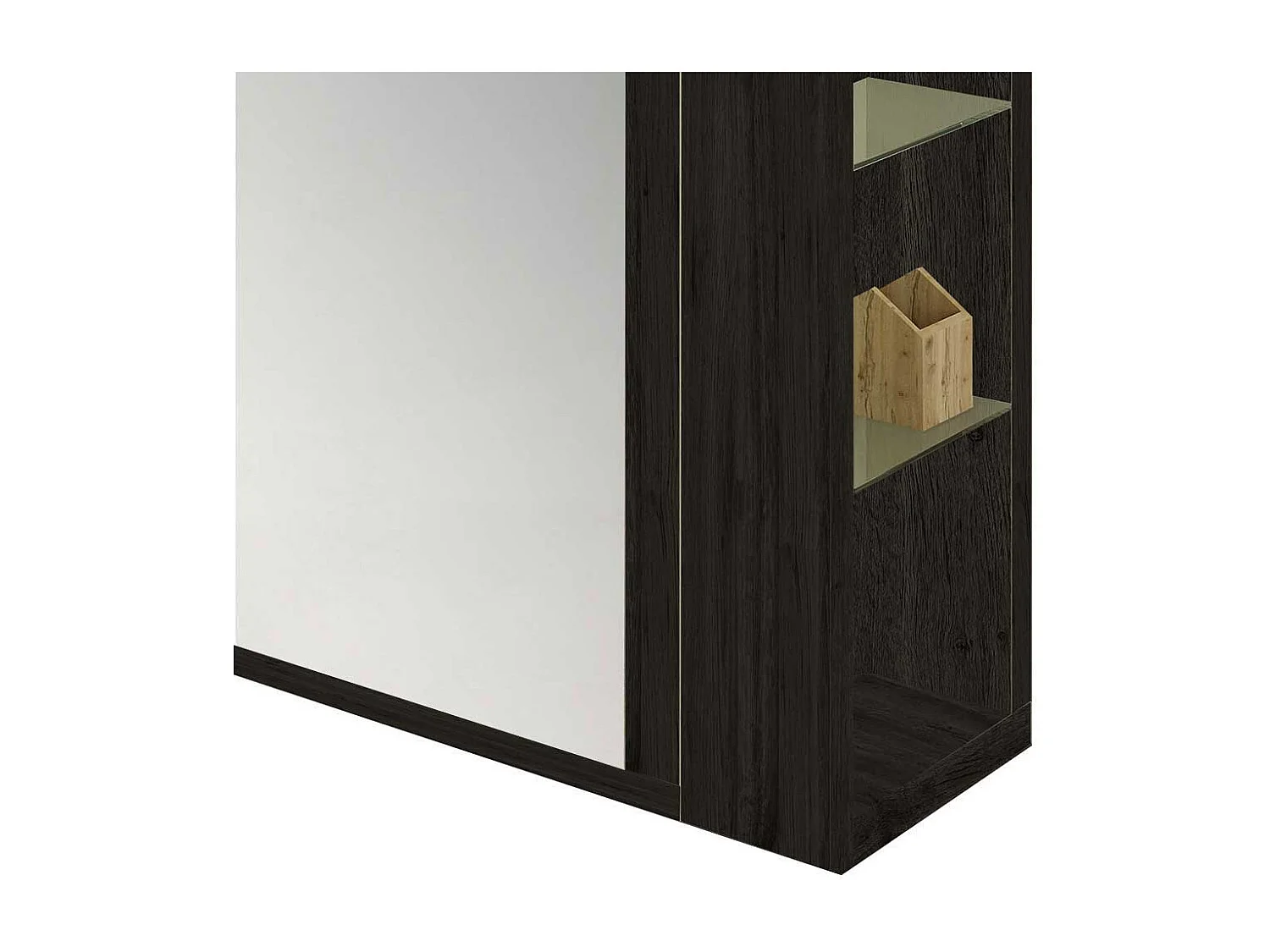 Garderobenschuhschrank in Schwarzgrau Spiegel