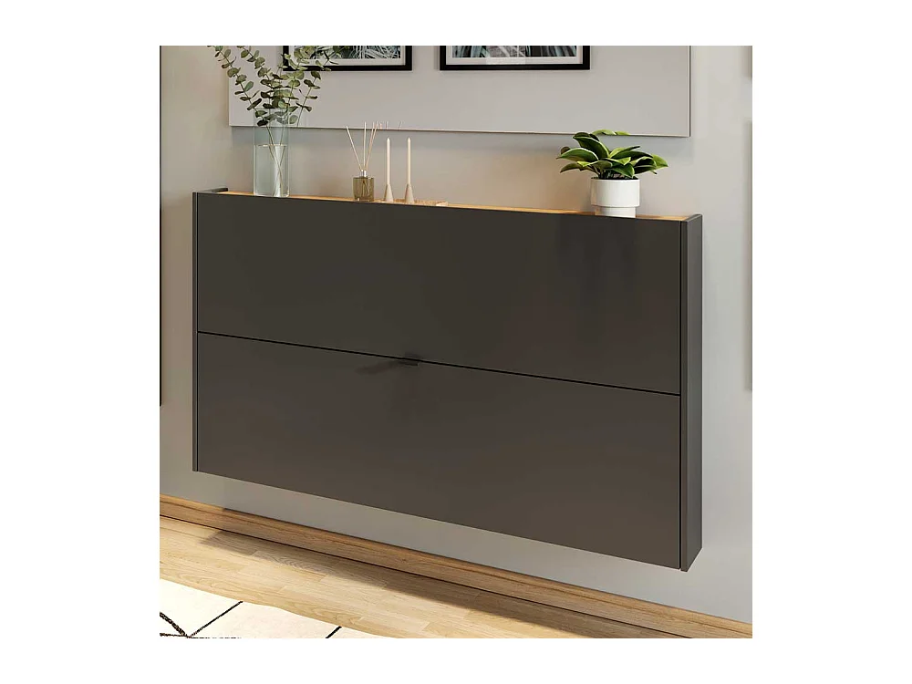 Garderobenschuhschrank in Dunkelgrau und Wildeichefarben