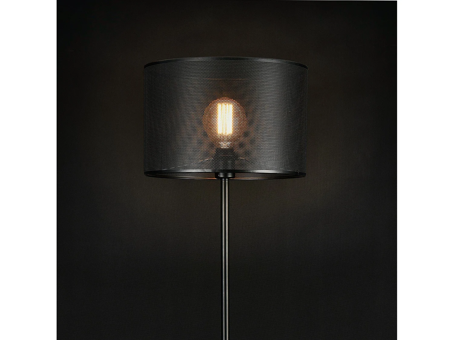 Candeeiro de pé candeeiro de pé em metal preto e27 153 cm 03_0002446